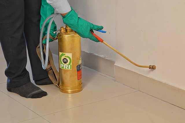 Blog post about termite treatment